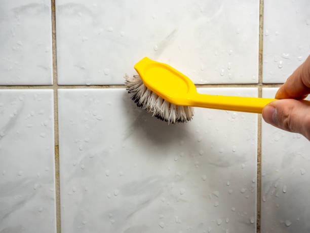 Best Home Mold Removal  in Hector, MN
