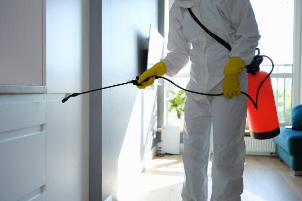 Best Mold Testing  in Hector, MN