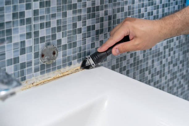 Best Certified Mold Removal  in Hector, MN